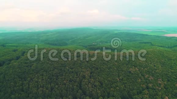 鸟瞰夏季绿树在森林和山脉背景4K视频的预览图