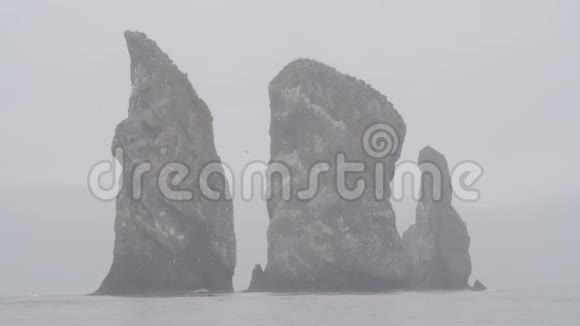雾中令人印象深刻的巨大岩石海洋和鸟类俄罗斯堪察加半岛视频的预览图