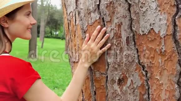女人慢慢地沿着老树滑手女性手触摸树干壳表面视频的预览图