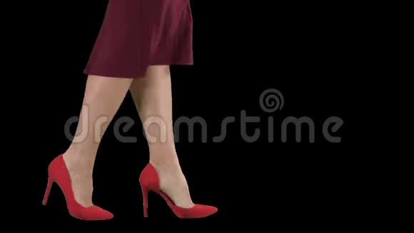 穿着红色高跟鞋走路的性感女人腿阿尔法频道的商务小姐视频的预览图