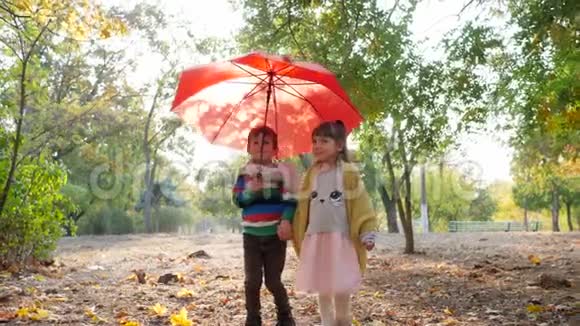 小女孩男孩牵着手慢吞吞地在红伞下沿着秋天公园走视频的预览图