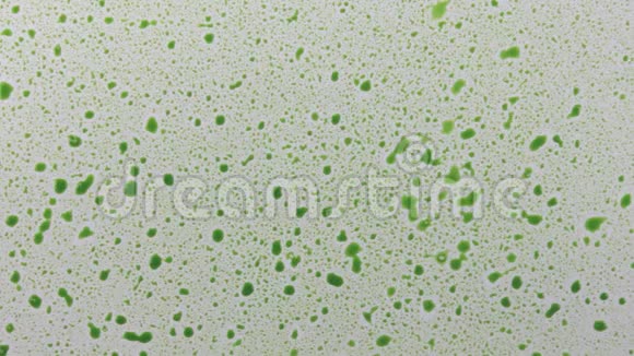 雨滴绿色的油漆落在白色的背景上视频的预览图