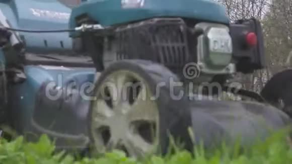 割草机在后院割草园艺背景视频的预览图