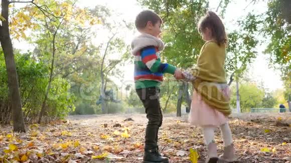 在阳光明媚的一天孩子们在秋天公园里转过身互相牵着手背光视频的预览图