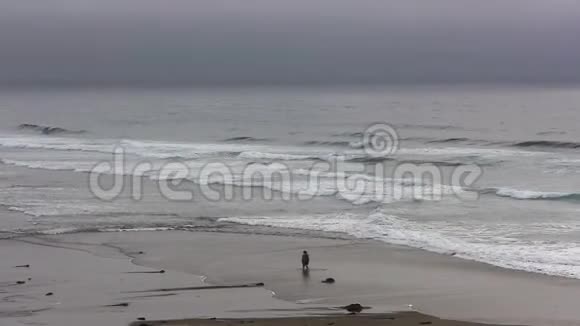 北加利福尼亚海滩泛海波镜头远观情侣视频的预览图
