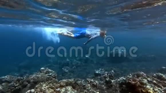 浮潜儿童与美丽的五颜六色的鱼在清澈的蓝色海水中潜水视频的预览图