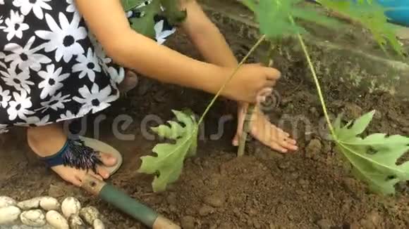 女孩在植树视频的预览图