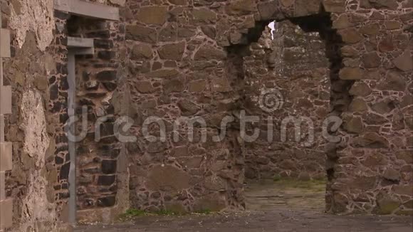 在爱尔兰的一座古堡里视频的预览图