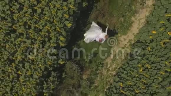 4K航拍片新郎和新娘走在一片向日葵盛开的田野里视频的预览图