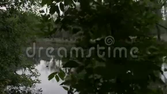 河畔的一座近景视频的预览图
