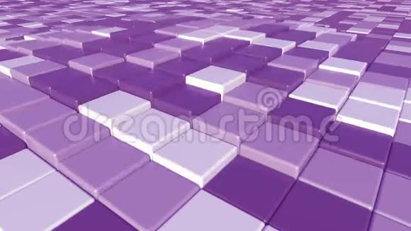 动的紫色方砖视频的预览图