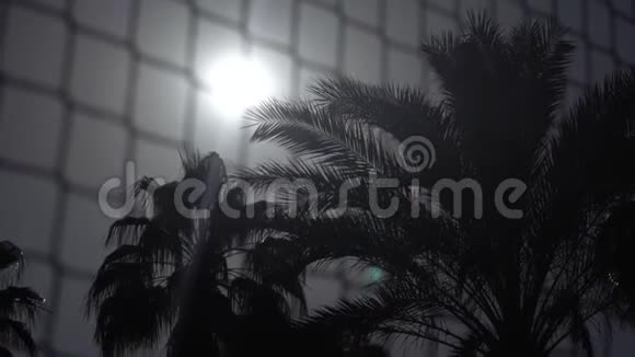 沙滩排球网在棕榈三附近慢动作视频的预览图