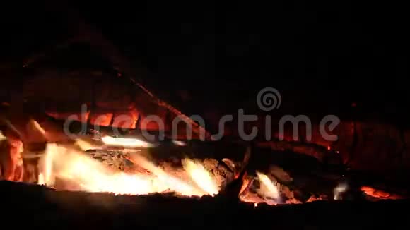 夜火用木头烧视频的预览图