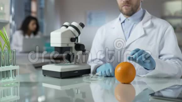 科学家注射带有特殊物质的橘子以检查化学物质的数量视频的预览图