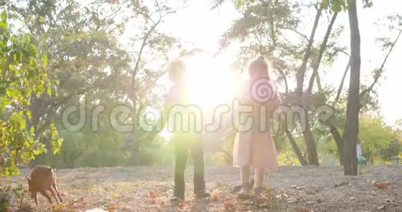 在秋天的公园里盖伊抱着狗背着黄色的叶子和女孩一起跑视频的预览图