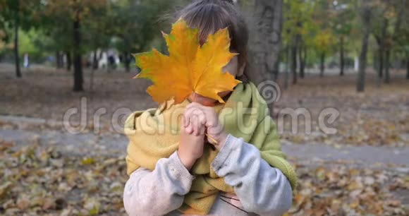 幸福的情感女孩子用枫叶遮住她的脸对着镜头微笑在大自然中视频的预览图