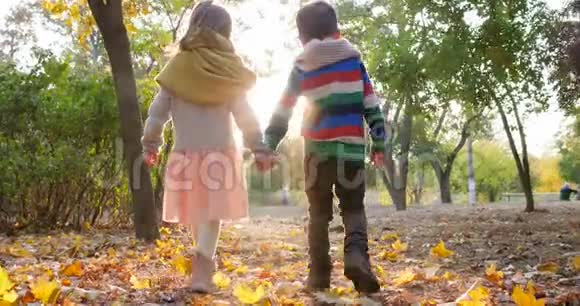 初恋女孩在公园的黄叶处和男人一起背着背光散步视频的预览图