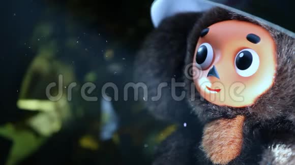 雪佛兰羊毛玩具镜头高清视频的预览图