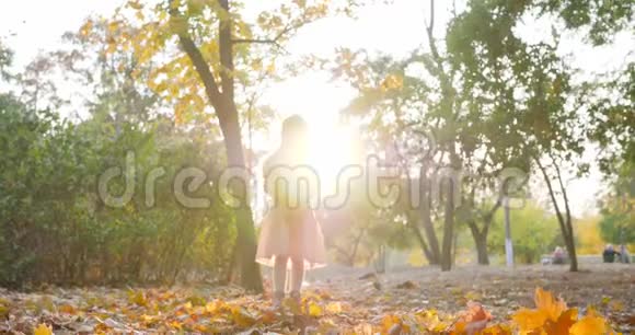 快乐的女孩子在秋天慢慢地扔树叶微笑着对着镜头看大自然视频的预览图