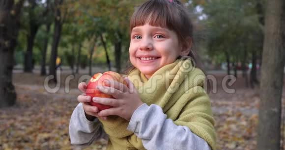 可爱的小女孩在大自然特写中以秋天的黄叶为背景吃苹果视频的预览图