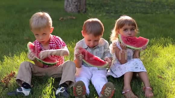 三个小朋友正坐在绿草地上的夏天公园里吃西瓜视频的预览图