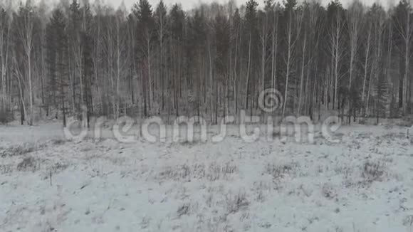 冬季森林附近乡村道路的鸟瞰图有雪树库存冬季景观视频的预览图