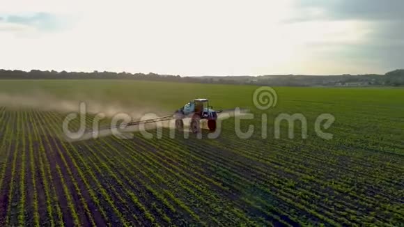 4K航空无人机镜头日落时在大豆田上喷洒拖拉机视频的预览图