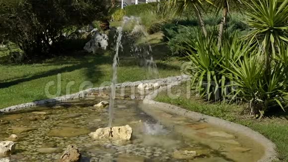 公园里有一个小喷泉有绿树和棕榈树在远处看到一个水壶水从里面出来视频的预览图