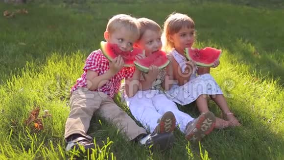 三个小孩在夏天公园吃西瓜坐在绿草地上视频的预览图