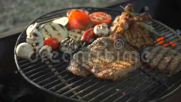 沙索烤圆形状牛排烤鸡腿新鲜蔬菜腌制和特殊的夏季野餐视频的预览图