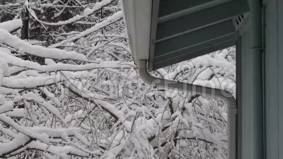 落在屋顶和树枝上的雪视频的预览图