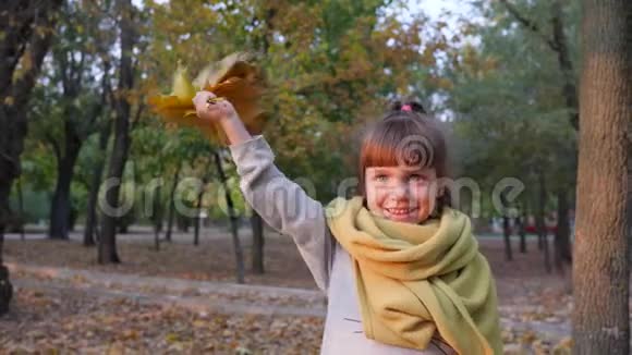 快乐的女孩子带着黄色的叶子在镜头前挥舞着手在公园里微笑视频的预览图