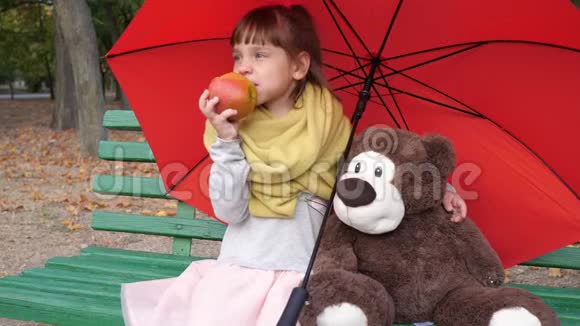 小朋友坐在红色雨伞下的木凳上靠近玩具熊秋天吃苹果视频的预览图