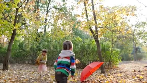 可爱的孩子们在秋天公园的树和红伞的背景下把黄色的落叶堆起来视频的预览图