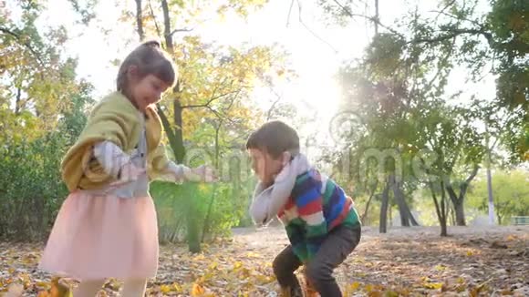 朋友们在缓慢的运动中将大量的叶子抛入空气中享受背光的秋天视频的预览图