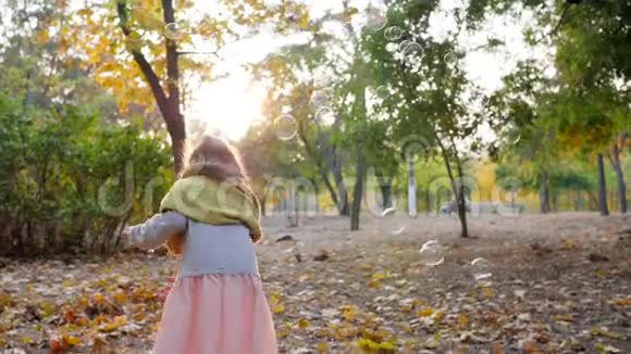 秋天公园小可爱的女孩在背光下玩肥皂泡视频的预览图