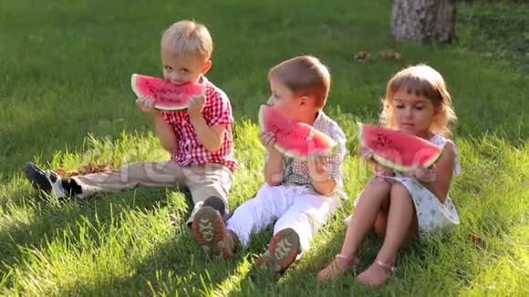 三个小孩在夏天公园吃西瓜坐在绿草地上视频的预览图