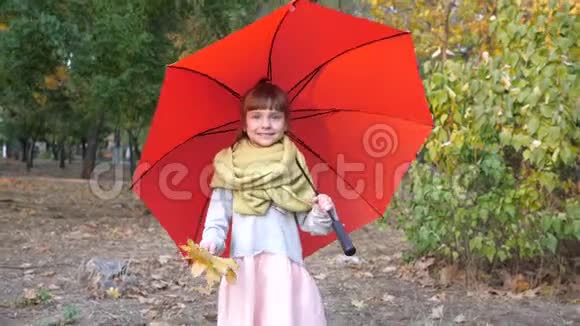 女孩子在公园的红伞下散步秋天手里拿着黄叶视频的预览图
