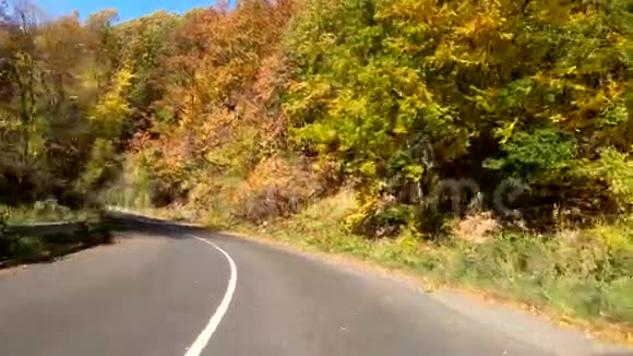 在晴朗的秋天驱车穿过明亮的秋林视频的预览图