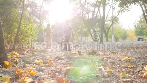 孩子们和她的小狗在黄色的叶子上奔跑在秋天公园的背光处慢动作视频的预览图