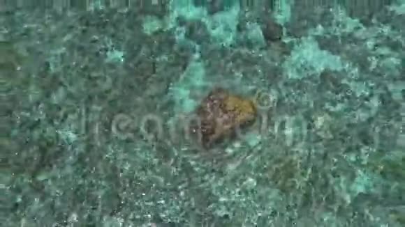 海洋中央的巨大岩石视频的预览图