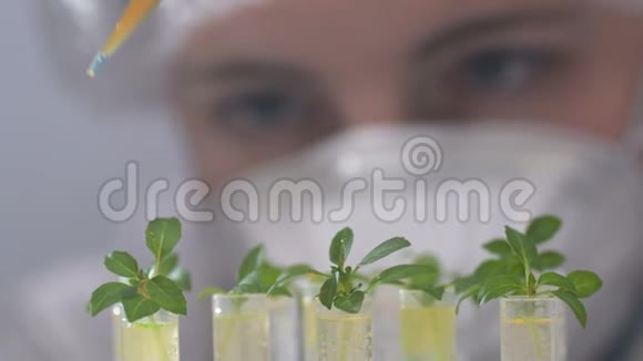生物学家用植物将试剂倒入试管中视频的预览图