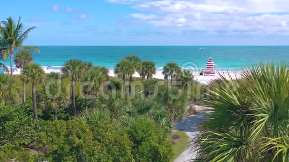 迈阿密佛罗里达州美国2019年5月空中无人机全景飞行迈阿密海滩沙子棕榈树和大海从上面视频的预览图