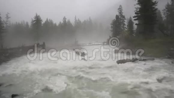 这段春天湍急的小河的视频显示了河上的雾或雾视频的预览图