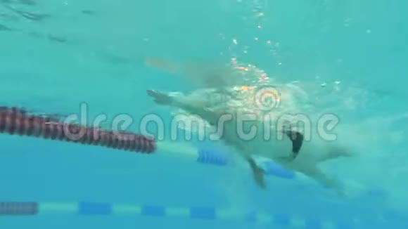 水下景观专业游泳训练游泳池自由式爬行视频的预览图