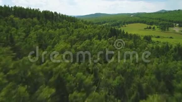 鸟瞰森林夏日绿林无人机射击空中观景台飞过美丽的树林视频的预览图
