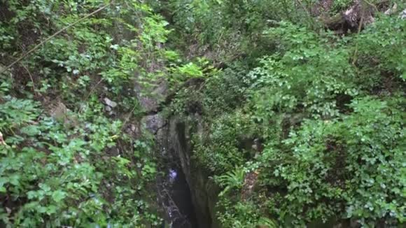 高山峡谷有冷水流绿林和大石头视频的预览图