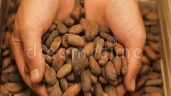 巧克力豆从手掌中缓慢落下视频的预览图