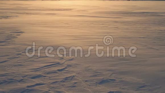 在金色夕阳下雪花和霜冻在风中飞舞的田野里的暴风雪视频的预览图