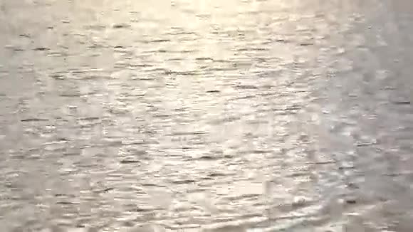 阳光照在水上视频的预览图